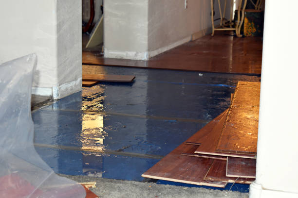 Professional Burst Pipe Cleanup technician working in Hillsboro, KS